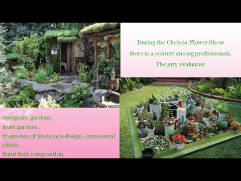 designers’ gardens, front gardens , fragments of landscape design, ornamental plants ,