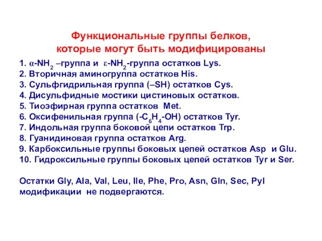 Функциональные группы белков, которые могут быть модифицированы 1. α-NH2 –группа и ε-NH2-группа