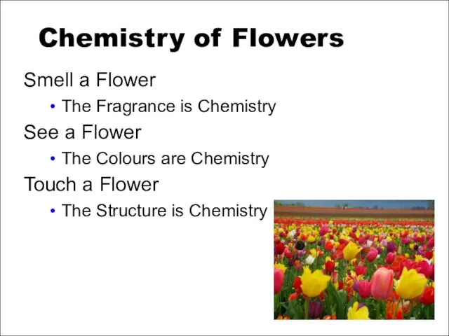 Chemistry of Flowers Smell a Flower The Fragrance is Chemistry See a