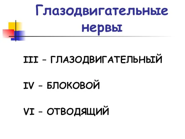 Глазодвигательные нервы III – ГЛАЗОДВИГАТЕЛЬНЫЙ IV – БЛОКОВОЙ VI – ОТВОДЯЩИЙ