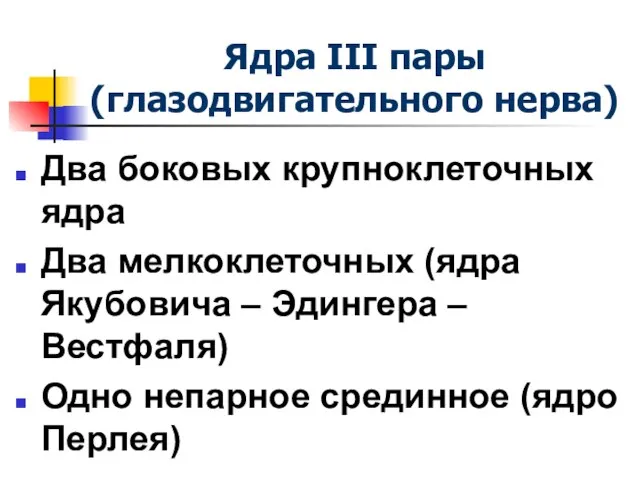 Ядра III пары (глазодвигательного нерва) Два боковых крупноклеточных ядра Два мелкоклеточных (ядра