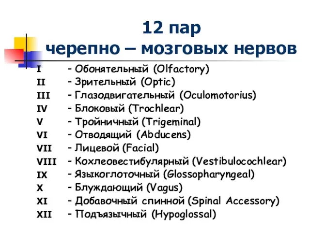 12 пар черепно – мозговых нервов I II III IV V VI