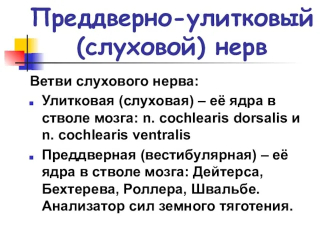 Преддверно-улитковый (слуховой) нерв Ветви слухового нерва: Улитковая (слуховая) – её ядра в