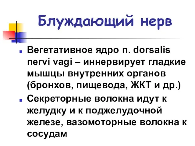 Блуждающий нерв Вегетативное ядро n. dorsalis nervi vagi – иннервирует гладкие мышцы