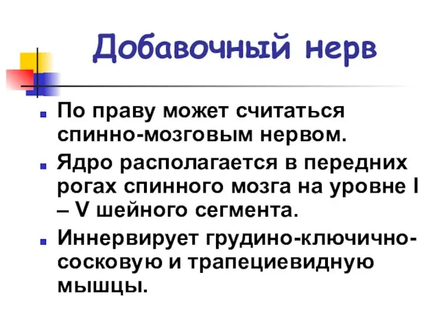 Добавочный нерв По праву может считаться спинно-мозговым нервом. Ядро располагается в передних