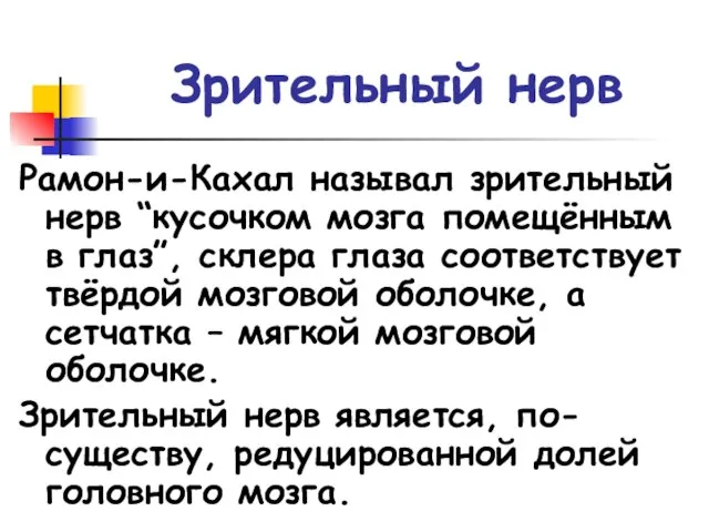 Зрительный нерв Рамон-и-Кахал называл зрительный нерв “кусочком мозга помещённым в глаз”, склера