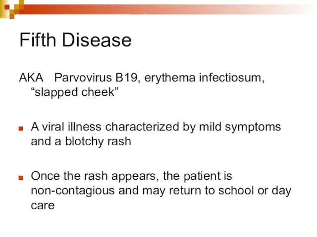 Fifth Disease AKA Parvovirus B19, erythema infectiosum, “slapped cheek” A viral illness