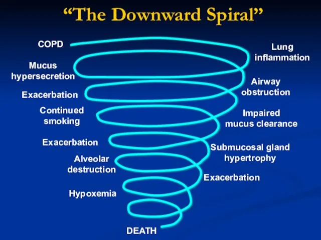 COPD Airway obstruction Exacerbation Mucus hypersecretion Continued smoking Lung inflammation Alveolar destruction