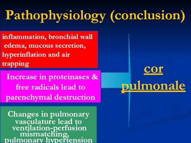 Pathophysiology (conclusion) inflammation, bronchial wall edema, mucous secretion, hyperinflation and air trapping