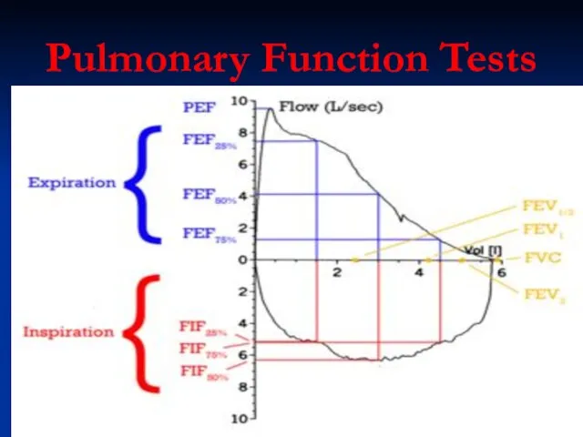 Pulmonary Function Tests