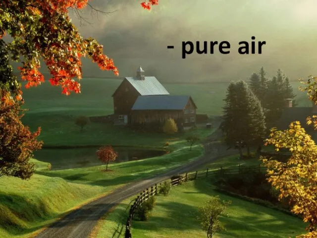 - pure air