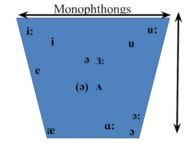 i i: u u: ə З: ʌ e æ ɑ: ɔ ɔ: (ə) Monophthongs