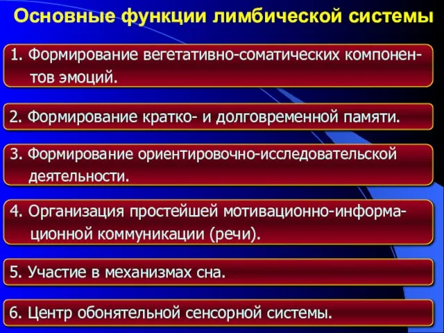 Основные функции лимбической системы 1. Формирование вегетативно-соматических компонен- тов эмоций. 2. Формирование