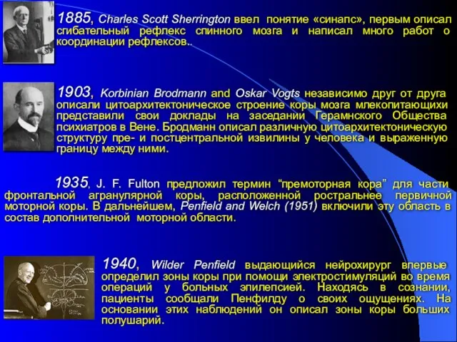 1885, Charles Scott Sherrington ввел понятие «синапс», первым описал сгибательный рефлекс спинного