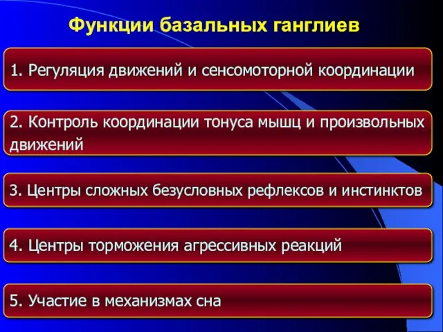 Функции базальных ганглиев 1. Регуляция движений и сенсомоторной координации 2. Контроль координации