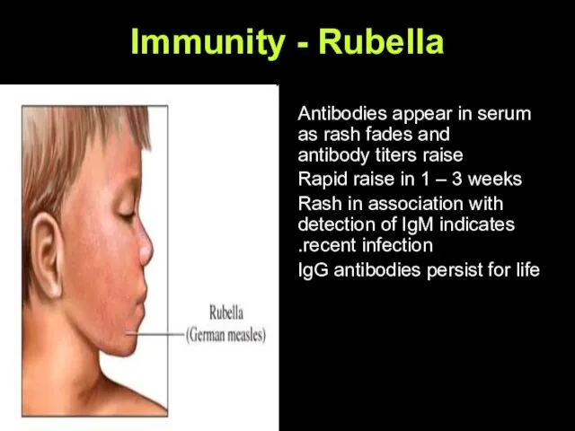 Immunity - Rubella Antibodies appear in serum as rash fades and antibody