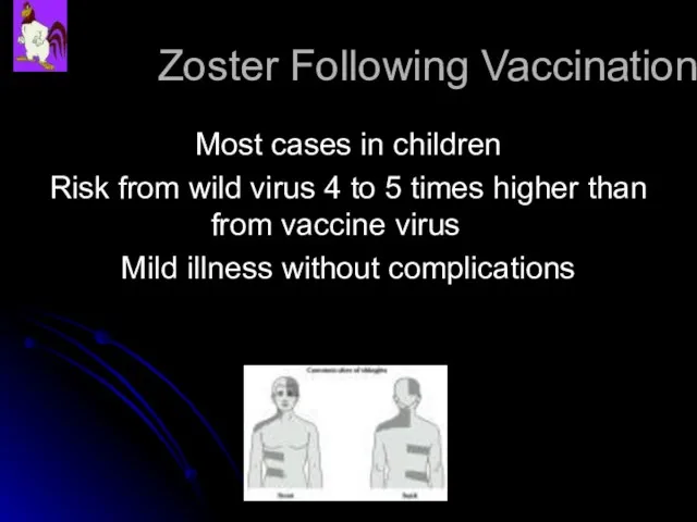 Zoster Following Vaccination Most cases in children Risk from wild virus 4