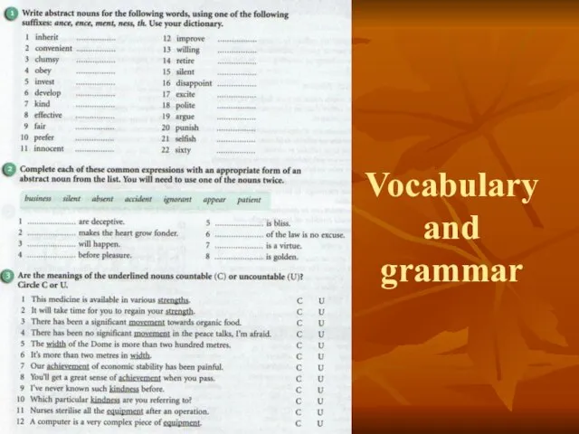 Vocabulary and grammar