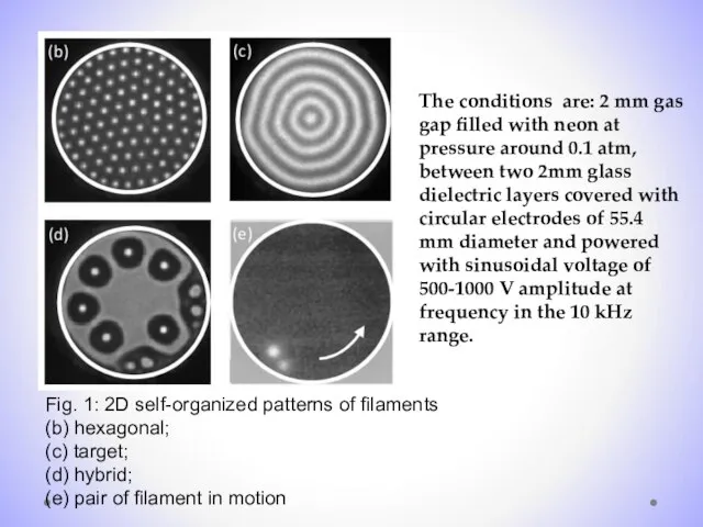 Fig. 1: 2D self-organized patterns of filaments (b) hexagonal; (c) target; (d)