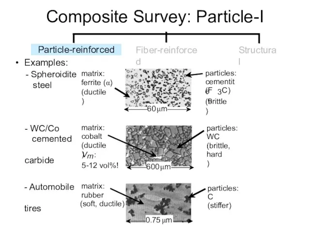 Composite Survey: Particle-I