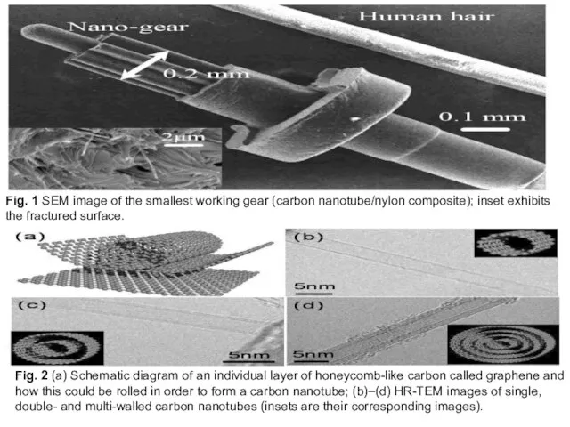 Fig. 2 (a) Schematic diagram of an individual layer of honeycomb-like carbon