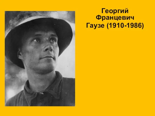 Георгий Францевич Гаузе (1910-1986)