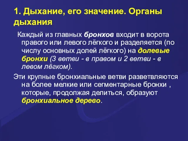 1. Дыхание, его значение. Органы дыхания Каждый из главных бронхов входит в