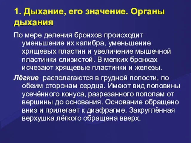 1. Дыхание, его значение. Органы дыхания По мере деления бронхов происходит уменьшение