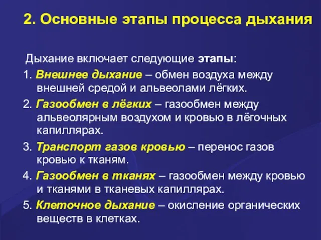 2. Основные этапы процесса дыхания Дыхание включает следующие этапы: 1. Внешнее дыхание