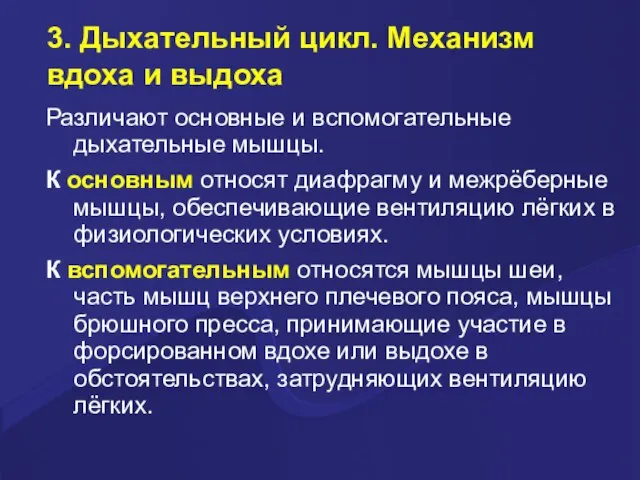 3. Дыхательный цикл. Механизм вдоха и выдоха Различают основные и вспомогательные дыхательные