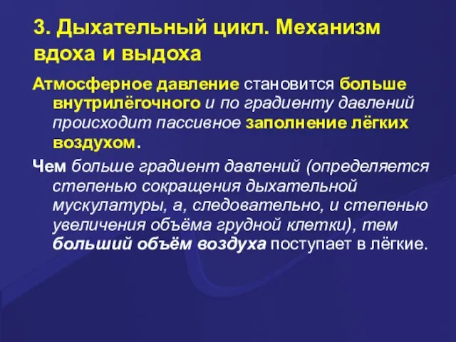 3. Дыхательный цикл. Механизм вдоха и выдоха Атмосферное давление становится больше внутрилёгочного