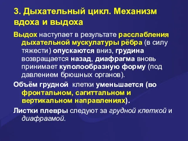 3. Дыхательный цикл. Механизм вдоха и выдоха Выдох наступает в результате расслабления