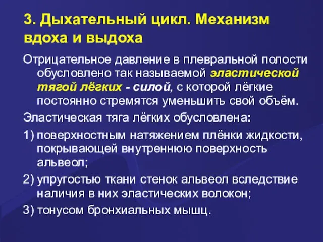 3. Дыхательный цикл. Механизм вдоха и выдоха Отрицательное давление в плевральной полости