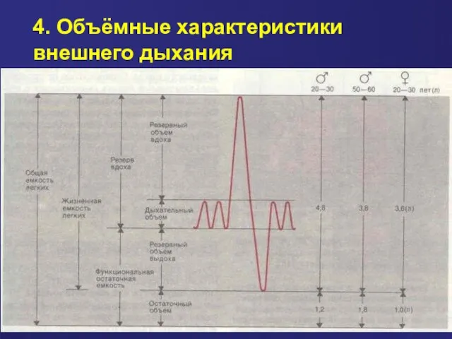 4. Объёмные характеристики внешнего дыхания