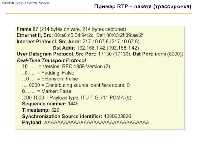 Пример RTP – пакета (трассировка) Учебный центр Алкатель, Москва