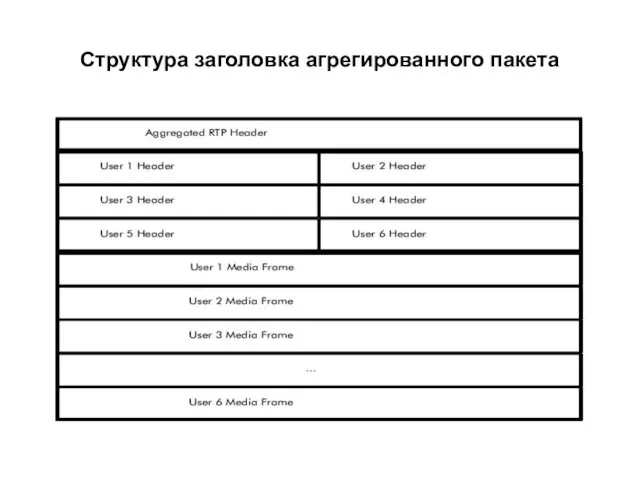 Структура заголовка агрегированного пакета