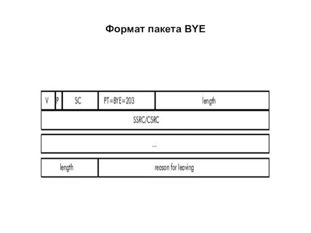 Формат пакета BYE