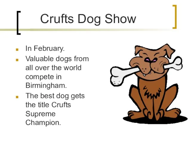 Crufts Dog Show In February. Valuable dogs from all over the world