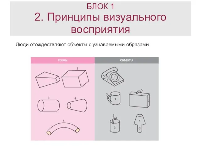 Люди отождествляют объекты с узнаваемыми образами БЛОК 1 2. Принципы визуального восприятия