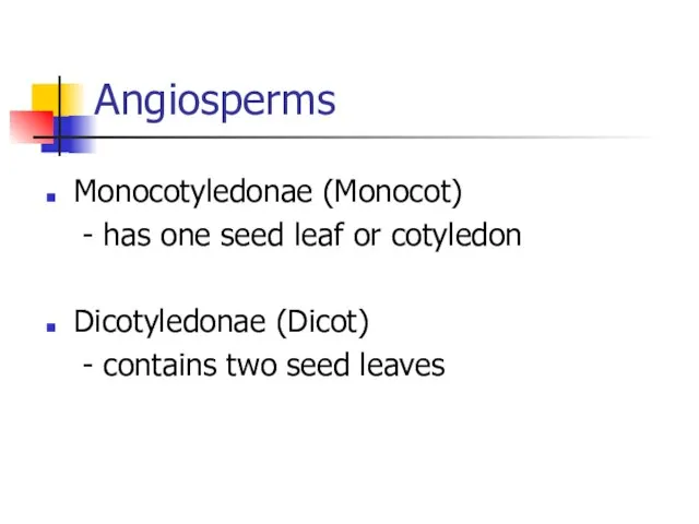 Angiosperms Monocotyledonae (Monocot) - has one seed leaf or cotyledon Dicotyledonae (Dicot)