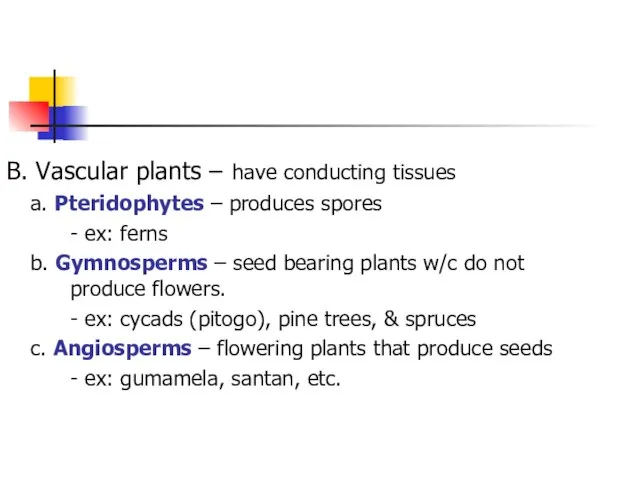 B. Vascular plants – have conducting tissues a. Pteridophytes – produces spores