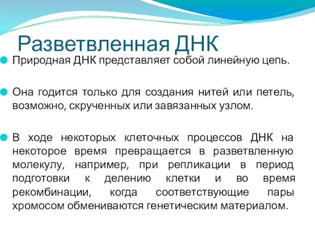 Разветвленная ДНК Природная ДНК представляет собой линейную цепь. Она годится только для