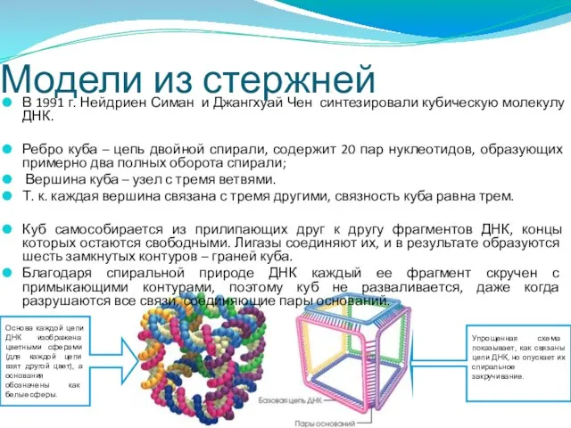 Модели из стержней В 1991 г. Нейдриен Симан и Джангхуай Чен синтезировали