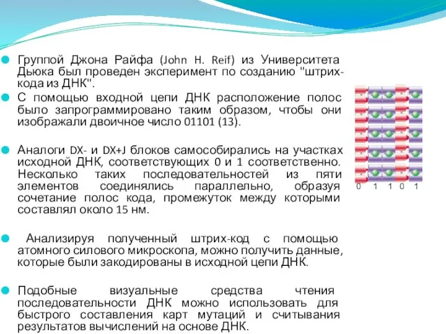 Группой Джона Райфа (John H. Reif) из Университета Дьюка был проведен эксперимент