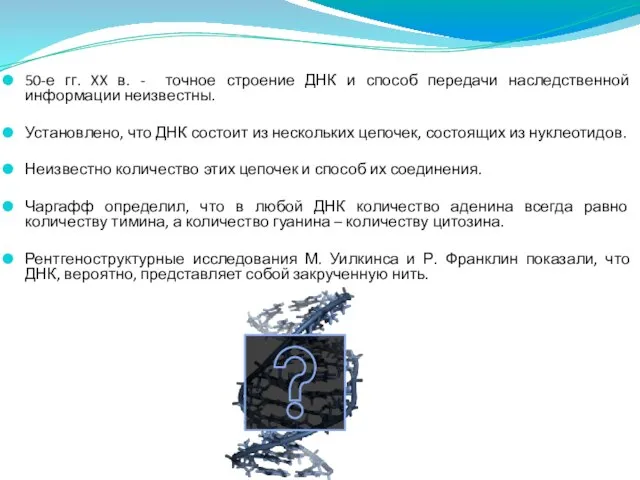 50-е гг. XX в. - точное строение ДНК и способ передачи наследственной