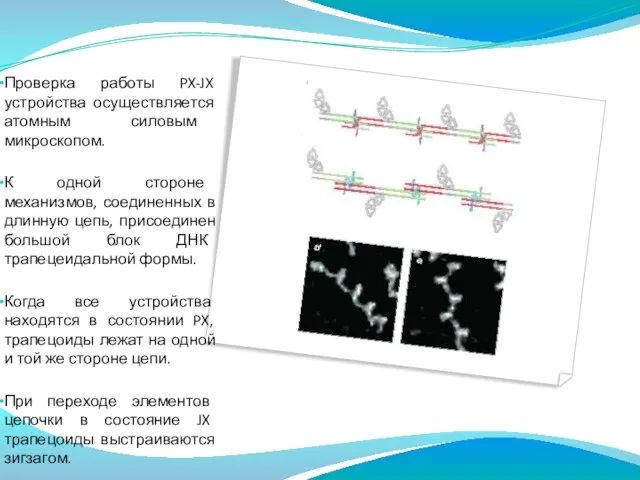 Проверка работы PX-JX устройства осуществляется атомным силовым микроскопом. К одной стороне механизмов,