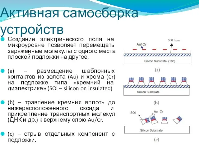 Активная самосборка устройств Создание электрического поля на микроуровне позволяет перемещать заряженные молекулы