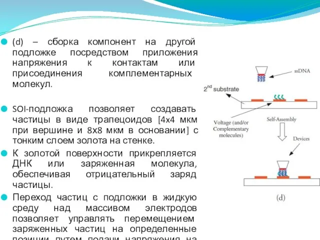 (d) – сборка компонент на другой подложке посредством приложения напряжения к контактам