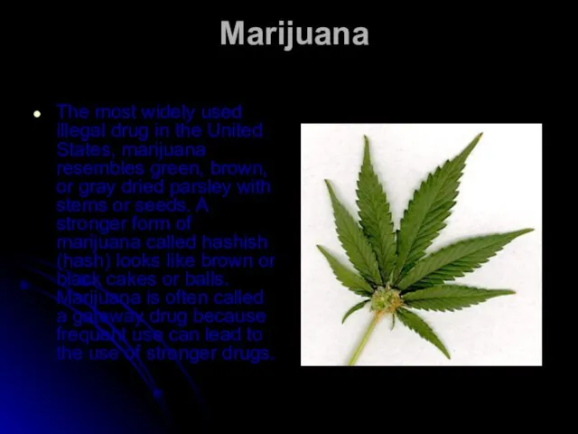 Marijuana The most widely used illegal drug in the United States, marijuana