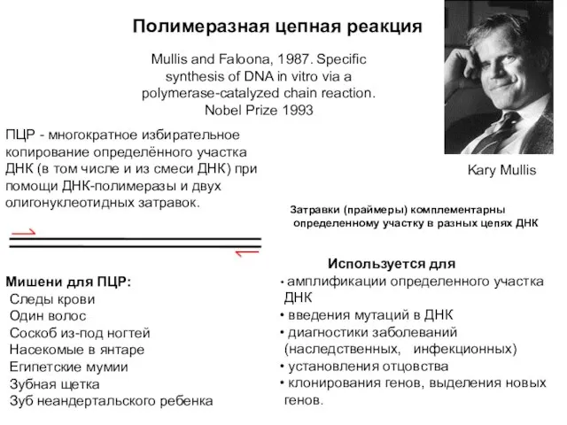 Mullis and Faloona, 1987. Specific synthesis of DNA in vitro via a